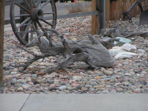 Rocks. Wheels and Driftwood - I saw how this house had decorated their yard with stones, wagon wheels and large pieces of driftwood. I thought it was very attractive so I took a picture of it. I&#039;ve always like driftwood. I think they have such interesting shapes.