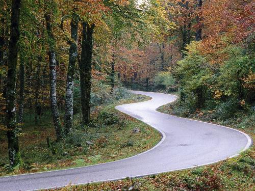 way through woods - Aralar, Navarre, Spain