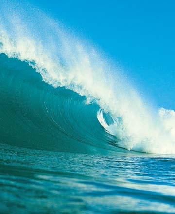 Environment - There now appears to be little scientific doubt that global warming is happening. People and organisations need to take action to reduce the greenhouse gas emissions which cause the global temperature to rise.