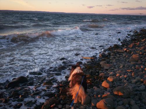 Halls Harbour - The Bay of Fundy off of Halls Harbour NS