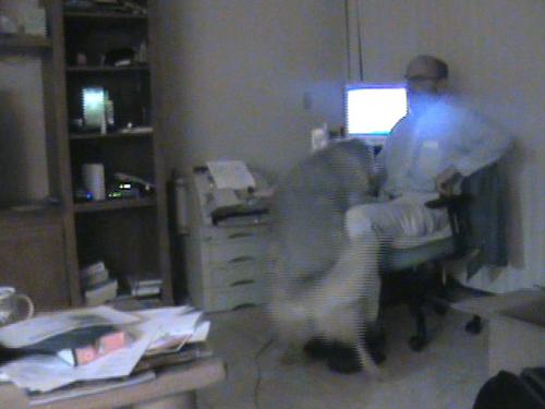 Dog wants something!!!  - Not sure what the dog wants this time, but she's at it again! LOL Another 'capture' from the video I made the other night.