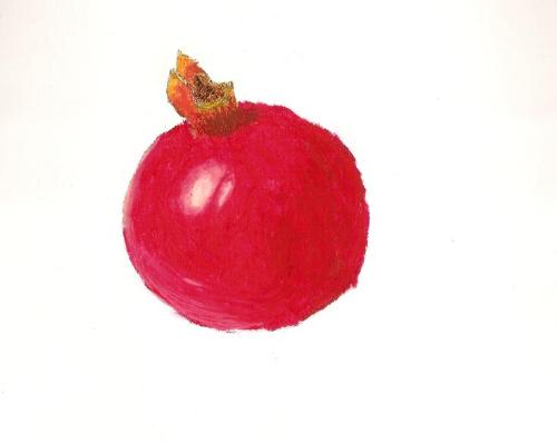 pomegranate - a pomegranate i draw with oil pastel @ collage!