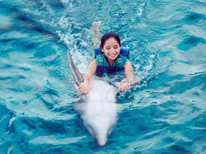 Swimming with dolphins - Girl swimming with a dolphin!