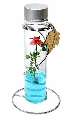 Finger Rose - This is a kind of cuvette flowers.