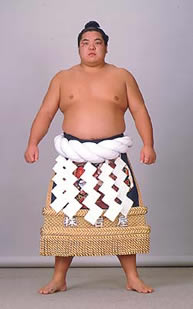 Yokozuna 61: Hokutoumi - 	 Hokutoumi Nobuyoshi  Date of Birth 	June 22nd, 1963 Place of Birth 	Hokkaido Heya 	Kokonoe Debut 	March, 1979 (age - 15) Yokozuna Promotion 	May, 1987 (age - 23) Retired 	May, 1992 (age - 28) Makunouchi Division Record 	465-206-109 Makunouchi Division Championships 	8 Special Prizes 	O-3, F-3, T-5 Height 	181 cm Weight 	151 kg Oyakata Name 	Hokutoumi - Hakkaku