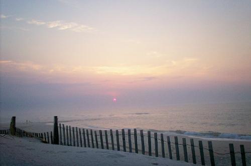 Morning on the dunes... - Early morning view on Long Beach Island, NJ.