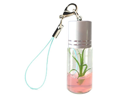 Inamorato Grass - This is a kind of small ornament.It can hang on the mobile phone.