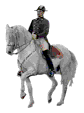 avatar - this is a horse with a man riding in it.