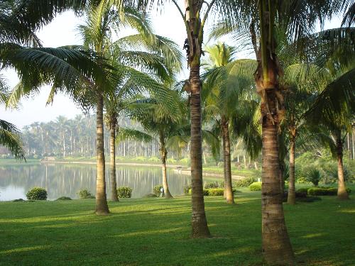 Hai Nan - A beautiful scenery in Hainan.