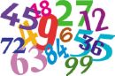numbers - myLot's growing population