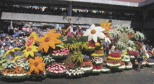 flower festival - very festive