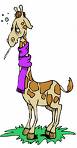 Don't want any head colds here! - giraffe with head cold