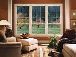 Bigguy afraid of windows???? - house windows Bigguy afraid of windows???? - house windows