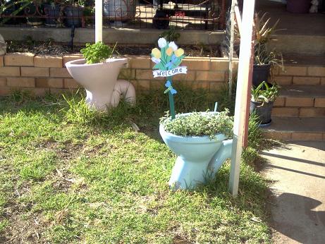 Herb containers holding parsley and apple mint. - My wacky sense of humour came up with these 'pots' for growing herbs.