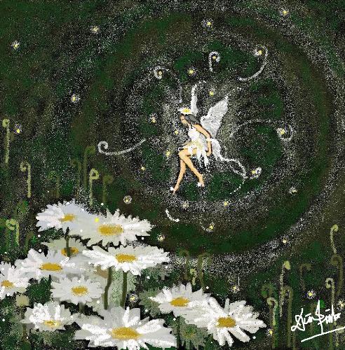 daisy fairy - daisy fairy image