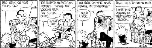 calvin 13 - calvin and hobbes