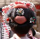 geisha hair - geisha hair image