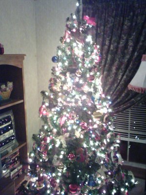 Oh, Christmas Tree - My Christmas tree from 2007. I love how pretty it looked.
