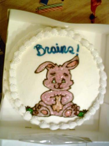 Brains! - This was my cake for my 21st birthday. My birthday is usually close to (if not during) Easter so I got this cake just after Easter was over.   I found it odd that the guy chose to write brains in blue icing. That amused me.