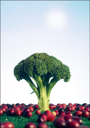 my favorite, broccoli ^_^ - broccoli is the best