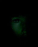 Beauty in the Dark! - Beauty in the dark is always nice to see!