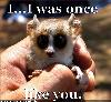 make extra money - would not be a life without those pesky critters now would it? find those animals have a mind of their own and don't you just love those show off's.