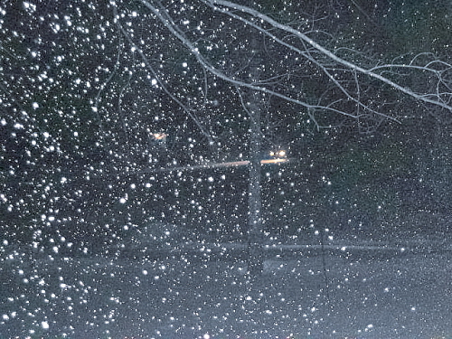 Snowstorm - yes it's here finally. Snowstorm - yes it's here finally.
