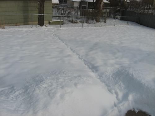Busters Walkway - This is Busters 'sidewalk' so to say.