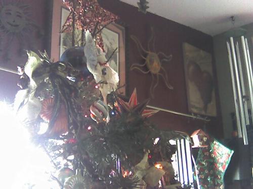 christmas tree - Intersting angle! My christmas tree 2007. I just love Christmas.