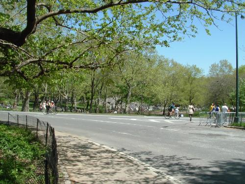 Central Park, New York - Taken in Central Park, New York City. Saturday morning. It was very busy with a lot of bikers and runners.
