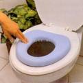 Toilet seat for kids - This is what we use
