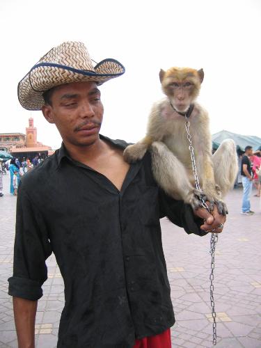A man with his monkey. - Animals like,snakes,lizards,monkeys, any reptile get used to pull tourists and if you make him pose for photo you have to pay.