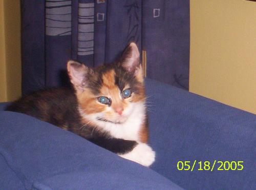 Trinny - My Trinny, who is sadly no longer with us.