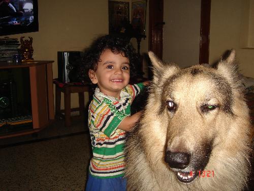 Dogs seem to enjoy time with Kids and vice-versa. - This is the photograph of my son playing with Bruno.