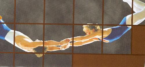 Circuse - A sport in the circuse.