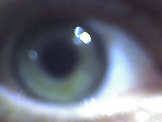 My sons eye. - My older son took this photo of his younger brothers eye! pretty cool!