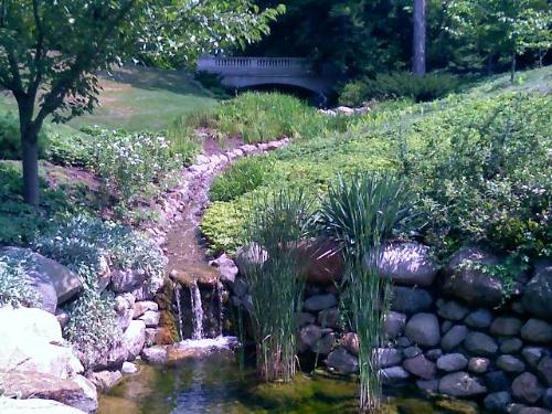 Garden - A very pretty garden in Indianapolis, Indiana.