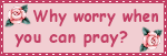 A little pink logo that says Why Worry when you Ca - A little pink logo that says Why Worry when you Can Pray?