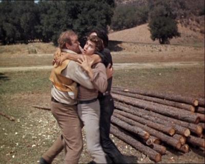 Adam, Hoss and Little Joe - some more brotherly fighting