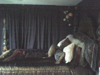 My beautiful bed. - I love interior design this is a photo of my bed. Isn't it neat?