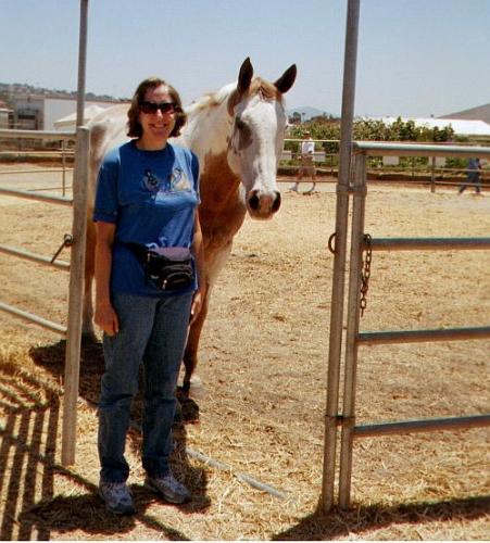 Horsing around. - Here is a horse I met at the San Diego County Fair.  He's a paint that was used for horse education there.  He was a very well natured and friendly.  I hope to see him again some day.