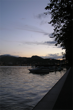 Swiss - Swiss Copyright By Ian