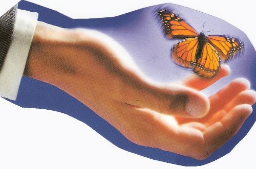 Buterfly - Ilustration, a hand with buterfly.