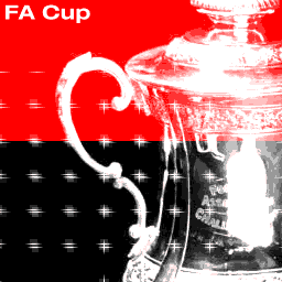 The FA Cup - The FA Cup, in a graphic vision