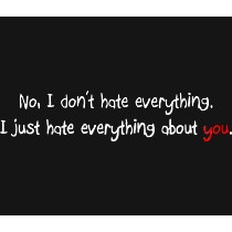 I don't hate everything - T-shirt slogan.