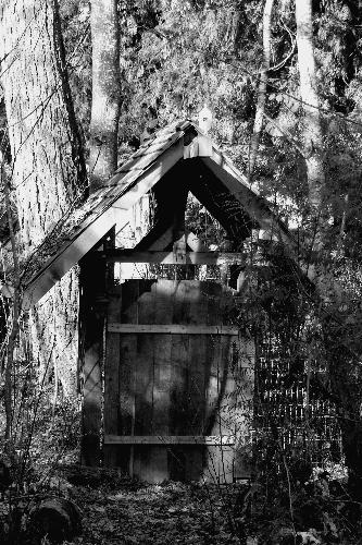 Gate to the Past - This gate connects a private property to the old CPR railway that was used for logging in our area.
