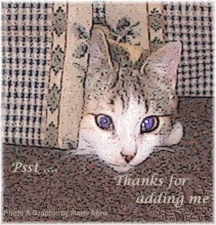 Laverne - This is Laverne, the other tabby/calico.