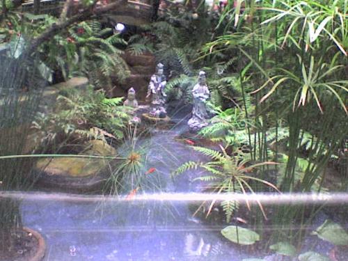 zen garden - this garden is located in one of the malls here in the philippines. the photo isn't that great since I just used my cellphone to take it.