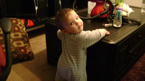 Trying to get into, I mean stay out of trouble... - I am innocent...really I am. Just uh..trying to get my bottle..yeah yeah, I am still hungry.