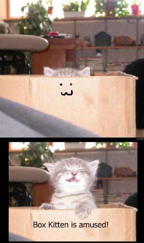 Tee Hee - Mischief